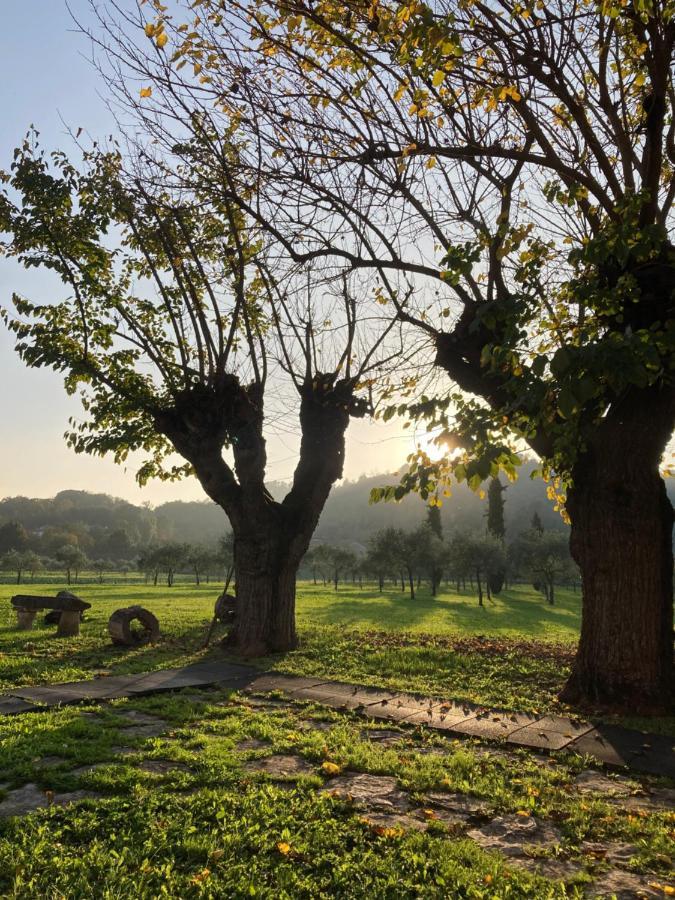 Agriturismo San Michele ヴィチェンツァ エクステリア 写真